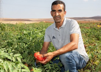 Saber-Gharbi-vers-site-