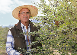 Mostathmer-Filahi-255-182